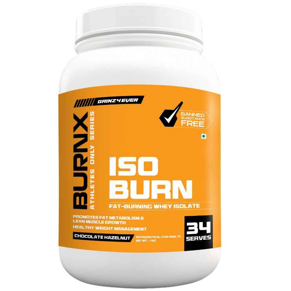 BurnX Iso Burn