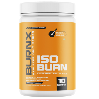 BurnX Iso Burn