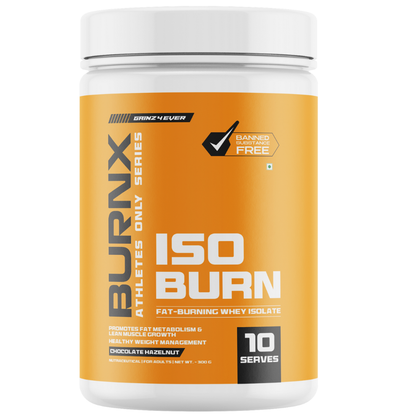 BurnX Iso Burn