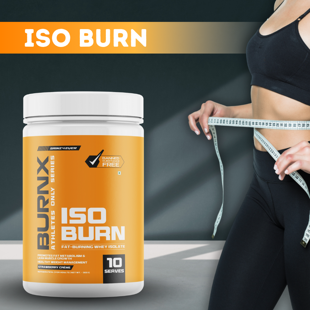BurnX Iso Burn