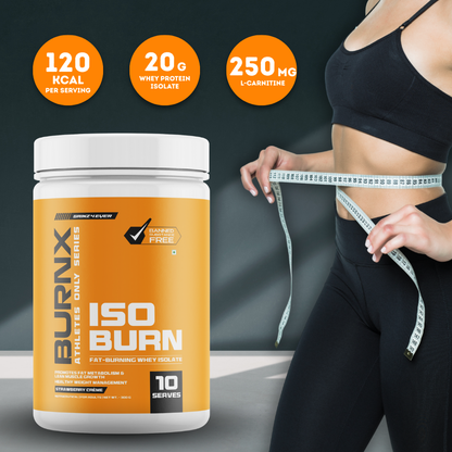 BurnX Iso Burn