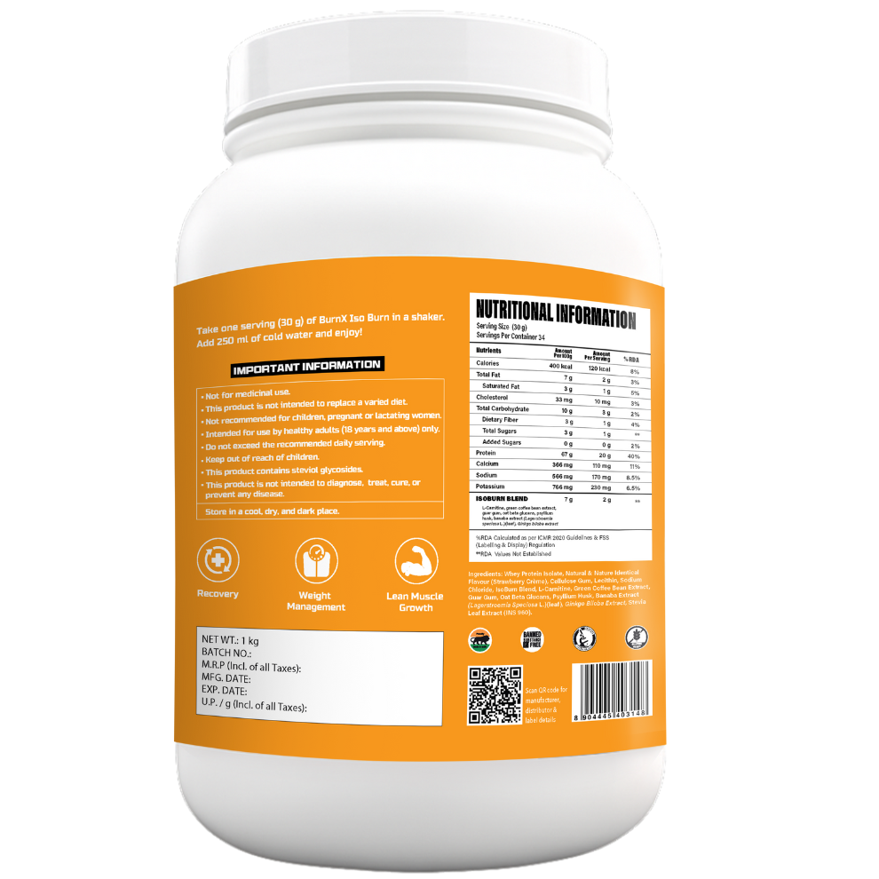 BurnX Iso Burn
