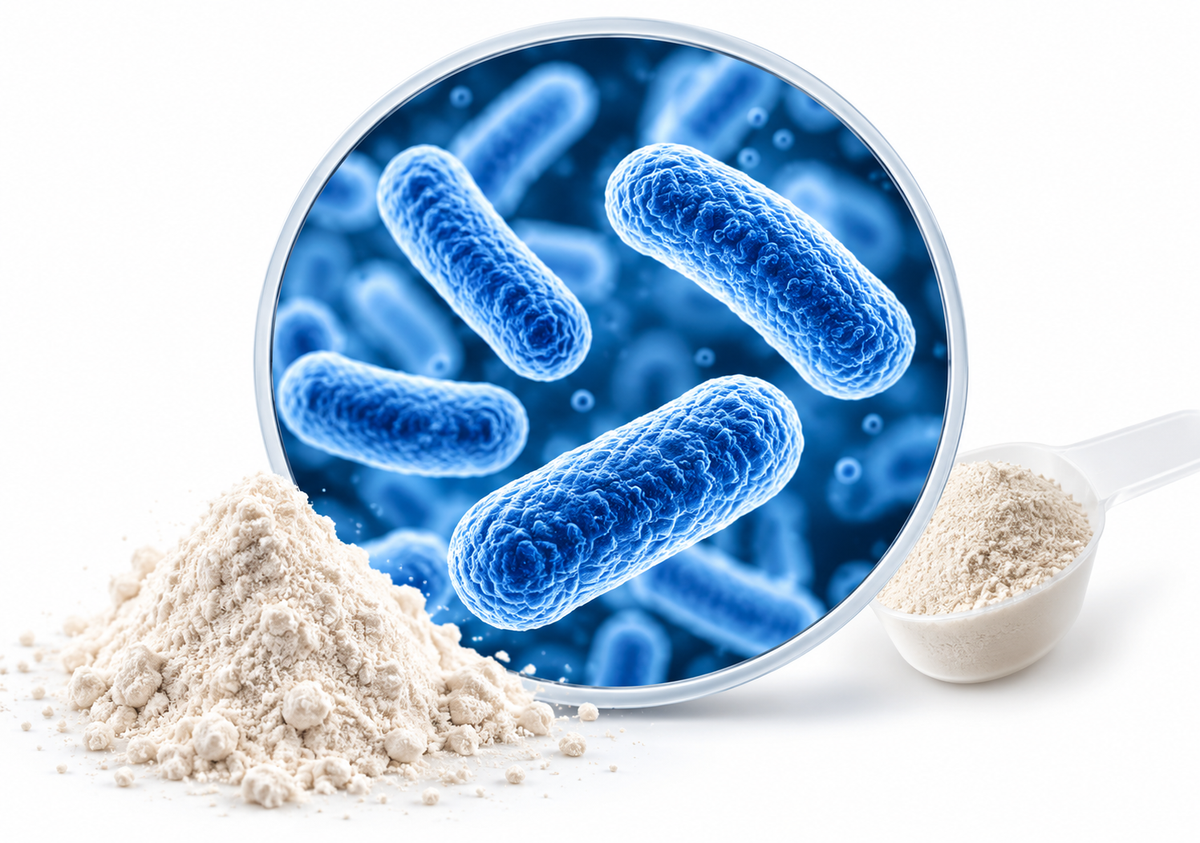 Bacillus coagulans is a probiotic microorganism that helps support digestive health and maintain a balanced gut microbiome. Each serving provides 1 billion CFU to complement your daily nutrition and support overall gut wellness.